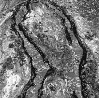 Geomicrobiology of Iron